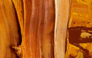 Картинка абстрактный, беспорядочный, геология, грубый, дерево, живопись, Искусство, Кора, коричневый, краска, крупный план, рисунки на стенах, современное искусство, стена, текстура, узор, экспрессионизм