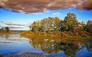 Картинка Клюет Пруд, отражение, вода, Штата Делавэр Лес, природа