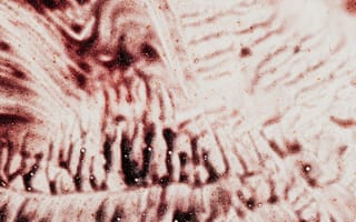 Картинка copy space, абстрактный, акварель, акриловый, бледный, вертикальный выстрел, вид сверху, волнистый, горизонтальный, грязный, дизайн, жидкий, жидкость, иллюстрация, Искусство, капать, капелька, капля, краска, красный, креативный, крошечный, линия, маленький, оттенок, пигмент, поверхность, пятно, смесь, темный, течь, тон, точка, цвет