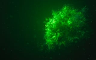 Картинка абстрактный, взрыв, всплеск, жидкий, зеленая краска, подводный