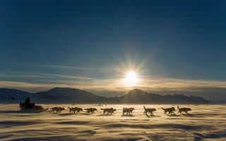 Картинка Национальный Парк Северо-Восточной Гренландии, В Ittoqqortoormiit, национальный парк, горизонт, зима