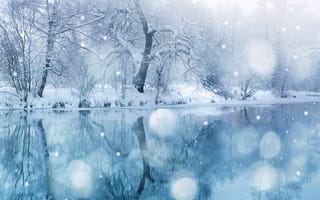Картинка зимняя сказка, зима, снег, природа, природный ландшафт