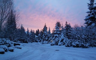 Картинка снег, зима, синий, природа, дерево