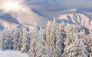 Картинка снег, зима, гора, горный рельеф, дерево