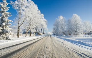 Картинка зима, снег, дерево, мороз, замораживание