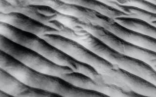 Картинка copy space, абстрактный, берег, бесшумный, волнистый, высокий угол, грести, дневное время, изгиб, линия, м.т, местность, на открытом воздухе, нетронутый, одиночество, оттенок, песок, пляж, поверхность, полный кадр, природный, пустошь, пустыня, ребристый, свободный, серый, структура, сухой, текстура, тон, тонкий, узкий