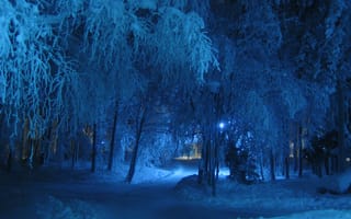 Картинка зима, ночь, снег, синий, оттенки синего цвета