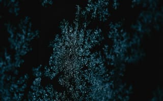 Картинка абстрактный, вертикальный выстрел, вычурный, Искусство, крупный план, поверхность, подводный, размытый, хрупкий
