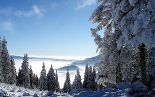 Картинка пейзаж, снег, зима, дерево, природа