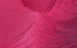 Картинка абстрактный, вертикальный выстрел, перья, розовый, текстура, цвет