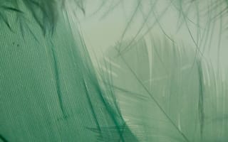 Картинка абстрактный, вертикальный выстрел, зеленый, перья, текстура, цвет