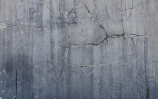 Картинка стена, древесина, цемент, бетон, дерево