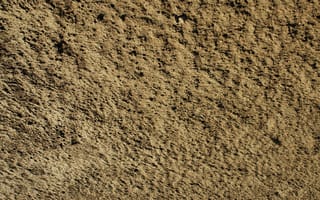Картинка почва, песок, гравий, рок, трава