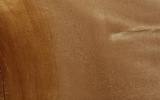 Картинка текстура, морилка, твердая древесина, коричневый цвет, карамельный цвет