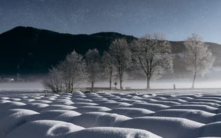 Картинка горный пейзаж, деревья, дюны, звездное небо, зима, ночь, снег