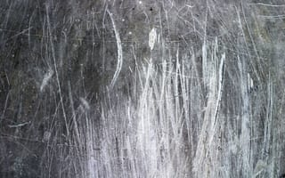 Картинка текстура, древесина, дерево, замораживание, черный и белый
