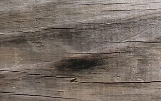 Картинка текстура, планка, древесина, коренная порода, обнажение