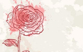 Картинка цветок, Роза, красный цвет, сад роз, растение