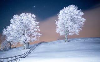 Картинка деревья, за городом, звезды, зима, лед, мороз, ночное небо, ночь, природа, простуда, сельский, снег