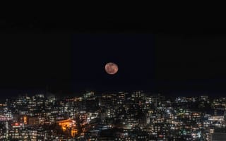Картинка ночь, луна, небесное явление, свет, астрономический объект