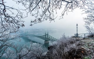 Картинка снег, зима, Мост Свободы, вода, дерево