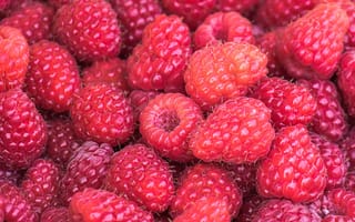 Картинка малина, ягоды, фрукты, природные продукты, рубус