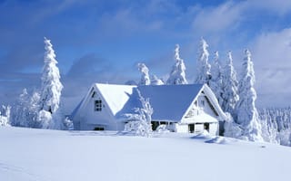 Картинка снег, зима, замораживание, мороз, дерево