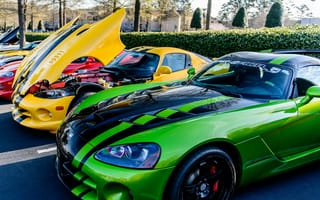 Обои спорткар, уловка Viper, авто, dodge, зеленый