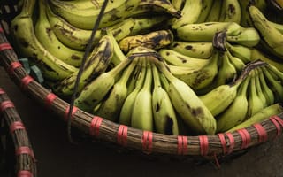 Картинка банан, банан Саба, Приготовление подорожника, банан семье, растение