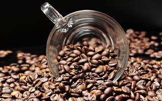 Картинка кофейное зерно, кофе, обжарка кофе, обжиг, кофеин