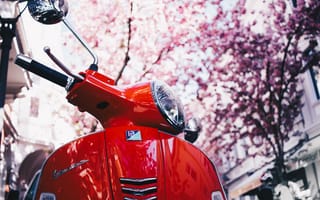 Картинка Веспа SXL по 150, Веспа, Скутер, мотоцикл, красный цвет