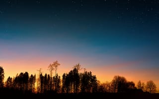 Картинка ночное небо, закат, дерево, ночь, природа