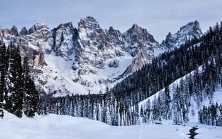 Картинка группа пала, горный рельеф, снег, гора, зима