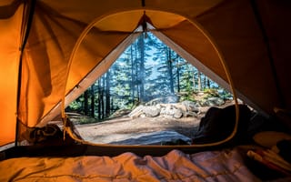 Картинка Кемпинг, палатка, палаточный лагерь, комната, полутона и оттенки