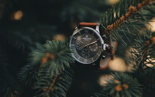 Картинка часы, Даниэль Кляйн, рождественский орнамент, дерево, растение