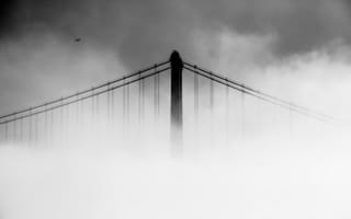 Обои Сан-Франциско-Окленд Бэй-Бридж, белые, вода, черный, мост