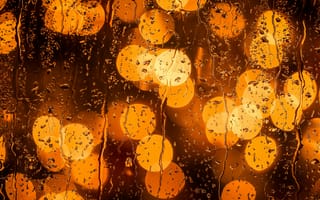 Картинка Апельсин, вода, желтый, Янтарь, дождь