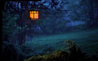 Картинка природа, Ночной Замок-В, зеленый, Коран, ночь