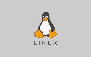 Картинка linux, смокинг, ubuntu, нелетающая птица, птица