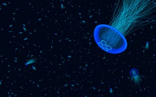 Картинка синий, биолюминесценция, морская биология, электрик, космос
