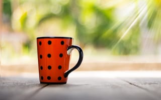 Картинка чашка, кружка, Апельсин, кофейная чашка, натюрморт
