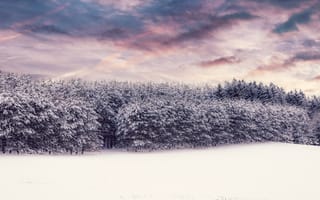Картинка зима, снег, природа, облако, природный ландшафт