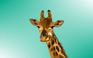 Картинка Жираф, жирафовые, наземные животные, живая природа, голова