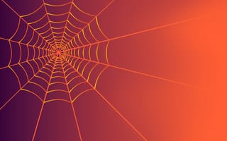 Обои паук, паутина, иллюстрация, векторная графика, Апельсин