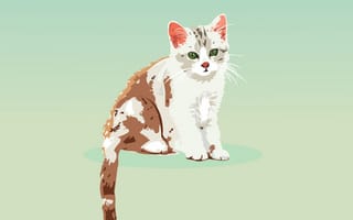 Картинка кот, котенок, векторная графика, кошачьих, бакенбарды