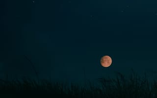 Картинка полнолуние, луна, астрономический объект, небесное явление, ночь