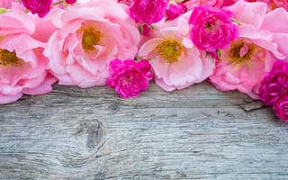 Картинка срезанные цветы, растение, розовый, семья Роуз, цветок