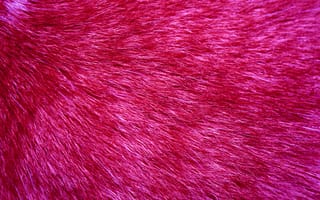 Обои мех, текстура, розовый, пурпурный цвет, красный цвет