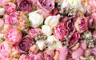 Картинка цветочный дизайн, букет, роза центифолия, цветок, флористики