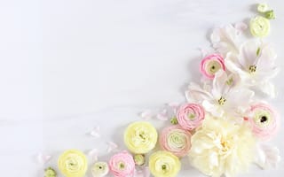 Картинка Роза, букет, цветок, сотовый телефон, искусственный цветок